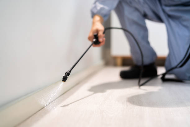 Bed Bug Pre-Treatment Preparation Assessment in Boonville
