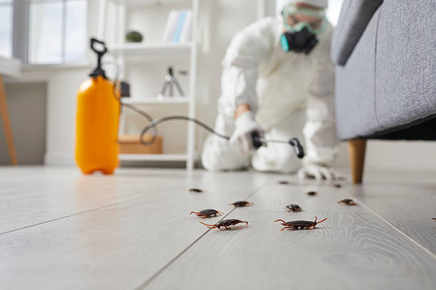 Post-Treatment Bed Bug Interceptor Monitoring in Boonville